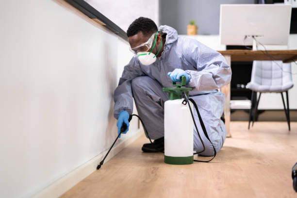 Best Real Estate Pest Inspections  in Georgetown, IL